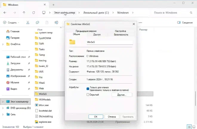 Свойства папки WinSxS: 17,2 ГБ