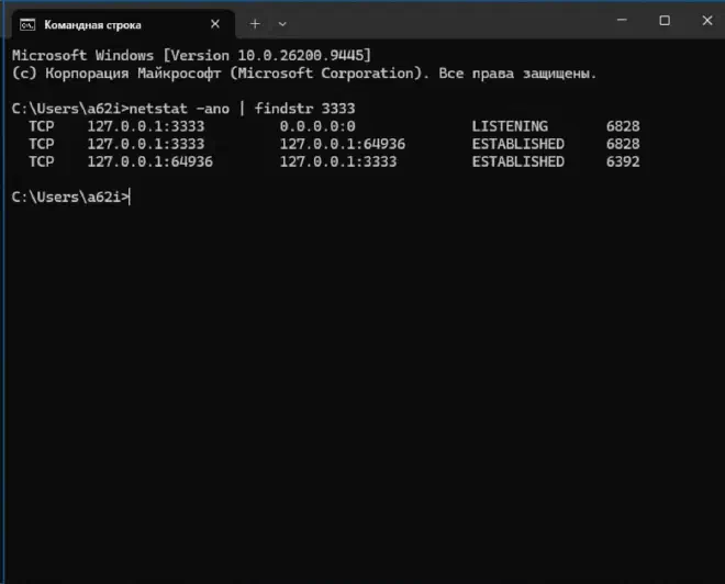 netstat -ano: соединения процесса на порт 3333